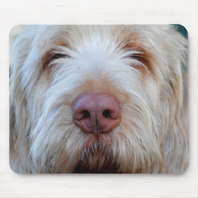 Tapis De Souris Booper Mousepad de Luigi (Devant)