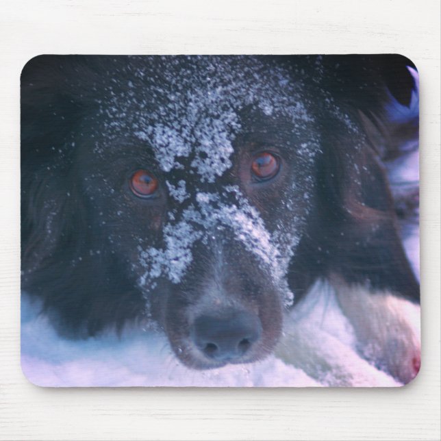 Tapis De Souris Bordure à visage neigeux Collie Chien mignon (Devant)