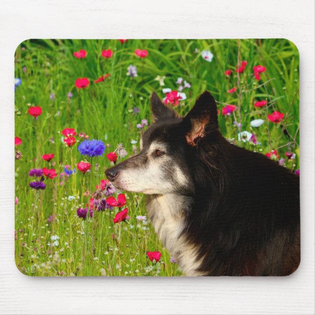 Tapis De Souris Bordure Collie avec de belles fleurs (Devant)