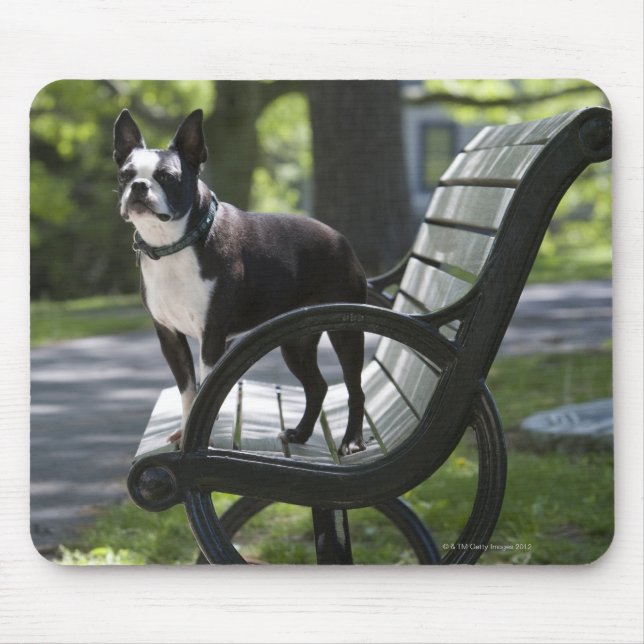 Tapis De Souris Boston Terrier (Devant)