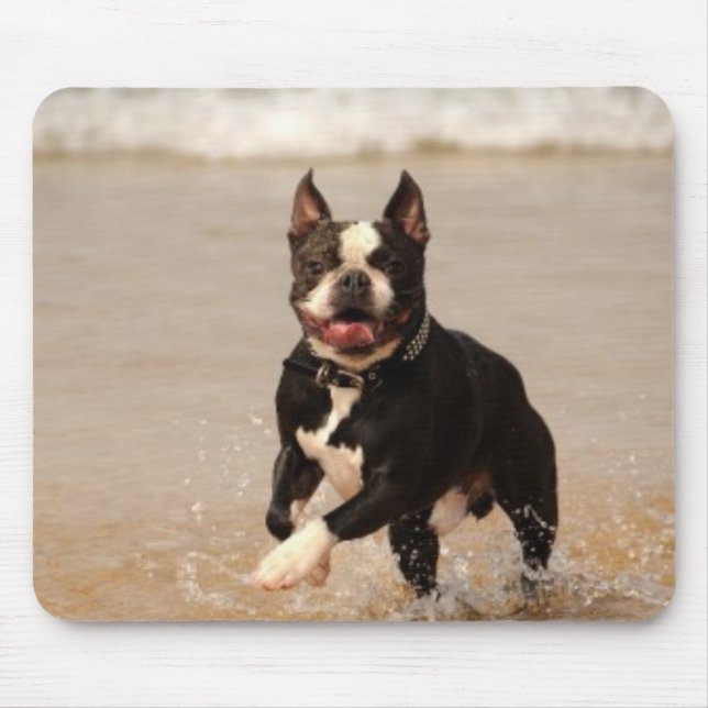Tapis De Souris Boston Terrier à la plage Mousepad (Devant)