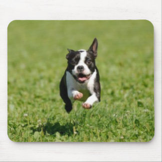 Tapis De Souris Boston Terrier courant Mousepad