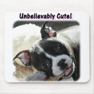 Tapis De Souris Boston Terrier : Incroyablement mignon !