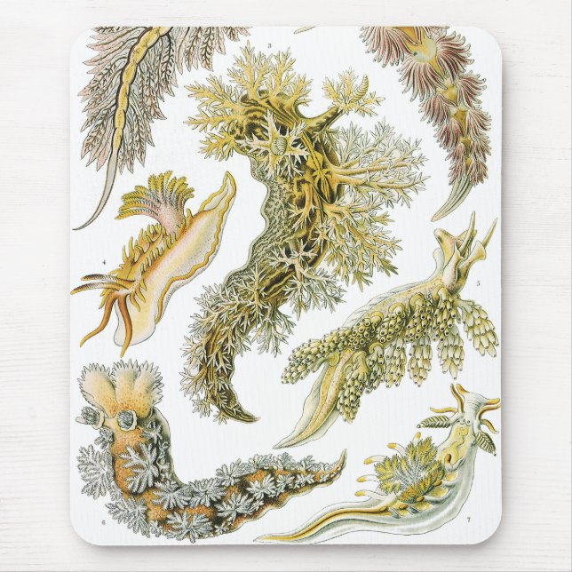 Tapis De Souris Boues de mer par Ernst Haeckel, Nudibranchia Vinta (Devant)