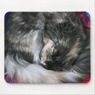 Tapis De Souris Bouge Kitty Chat