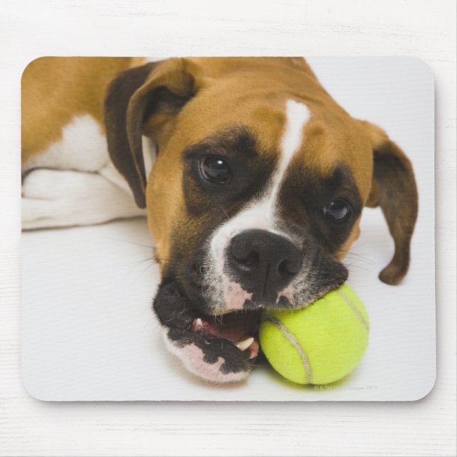 Tapis De Souris Boule de tennis de chien (Devant)