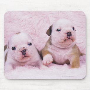 Tapis De Souris Bouledogue ; a souvent appelé le bouledogue