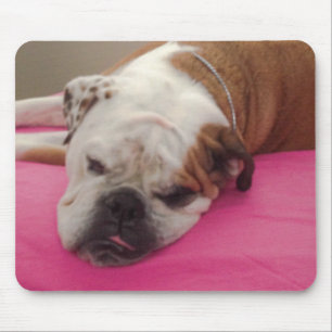 Tapis De Souris Bouledogue anglais