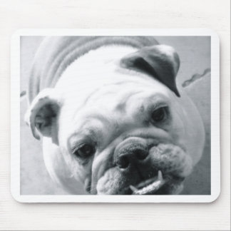 Tapis De Souris Bouledogue anglais