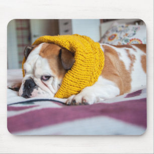 Tapis De Souris Bouledogue anglais des images   de Getty
