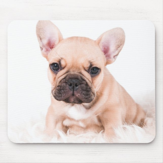 Tapis De Souris Bouledogue français (Devant)