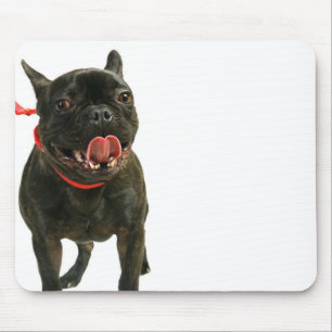 Tapis De Souris Bouledogue français