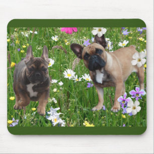 Tapis De Souris Bouledogue français Happy Day French Bulldog