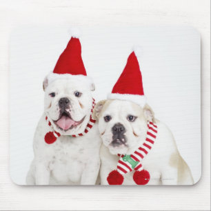 Tapis De Souris Bouledogues blancs