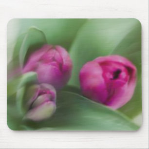 Tapis De Souris Bouquet de tulipe