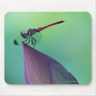 Tapis De Souris Bourgeon floral de Lotus et une libellule