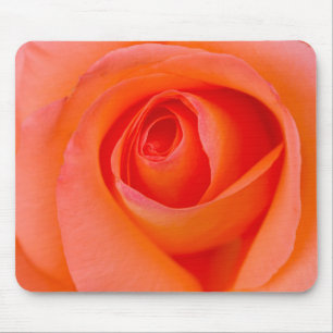 Tapis De Souris Bourgeon rose d'orange merveilleuse