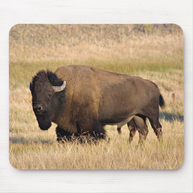 Tapis De Souris Bousepée de bison (Devant)