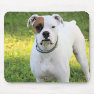 Tapis De Souris Boxer