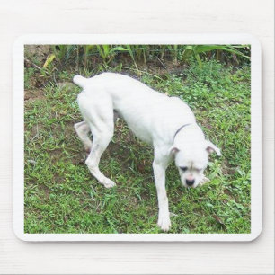 Tapis De Souris Boxer chiot blanc complet