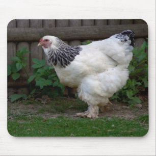 Tapis De Souris Brahma Hen