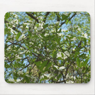 Tapis De Souris Branche of Dogwood Blossoms Spring Trees