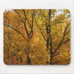 Tapis De Souris Branches de Feuilles Jaunes Bright Automne Coloré