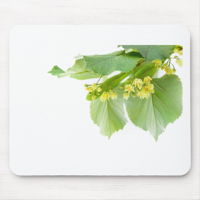 Tapis De Souris Brindille de floraison d'arbre de limetree ou de (Devant)