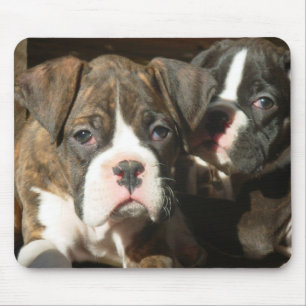 Tapis De Souris Brindle boxer pups mousepad