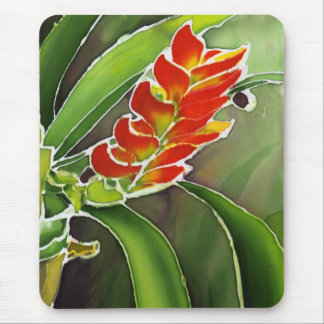 Tapis De Souris Bromeliad Vriesea