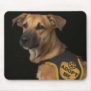 Tapis De Souris Brown rescue dog with adopt vest
