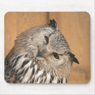 Tapis De Souris Bubo bubo sibiricus
