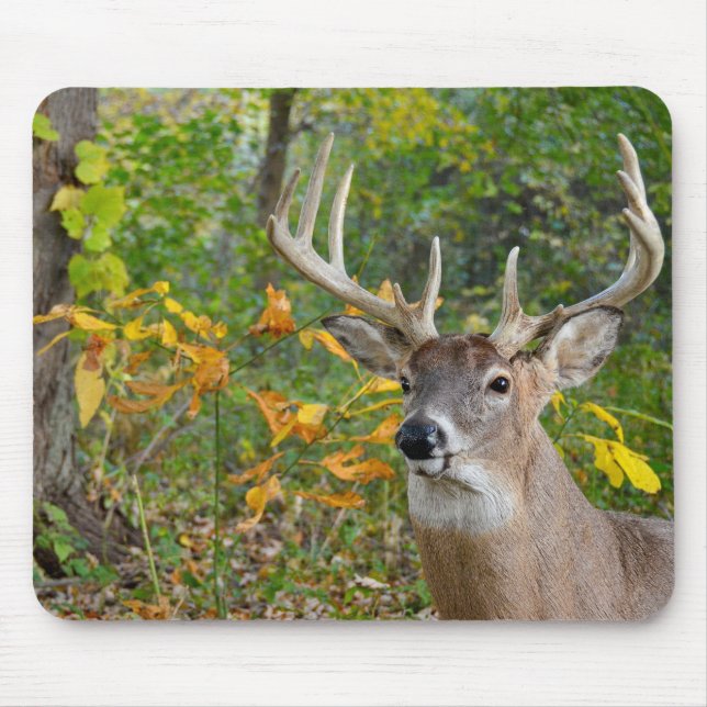 Tapis De Souris Buck Deer à Woods (Devant)