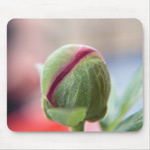 Tapis De Souris Bud d'une Peony/Pfingstrosen