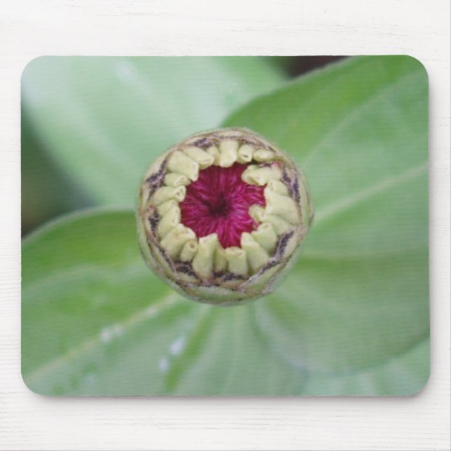 Tapis De Souris Budding Zinnia (Devant)