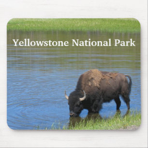 Tapis De Souris Buffle de Yellowstone dans l'étang