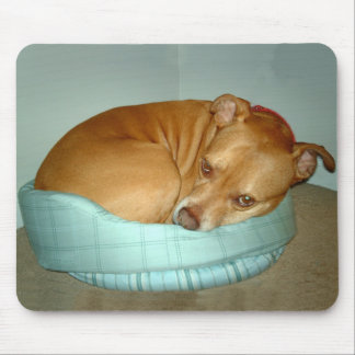 Tapis De Souris Bugsy