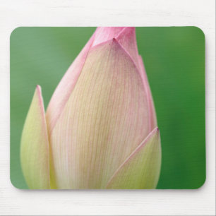 Tapis De Souris Bulbe de nénuphar non ouvert, Jardin botanique de