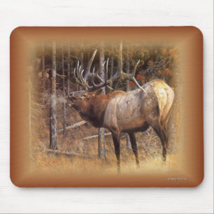 Tapis De Souris bull_elk2_mousepad