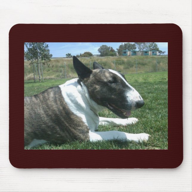 Tapis De Souris Bull-terrier anglais (Devant)