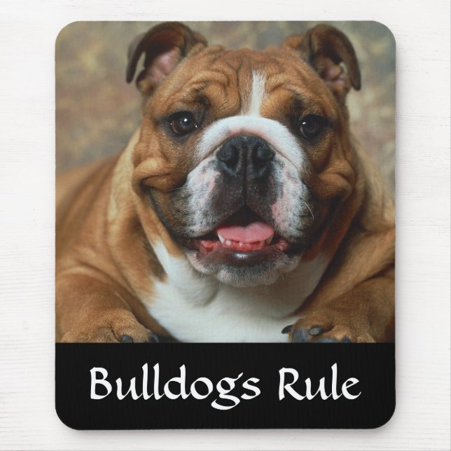 Tapis De Souris Bulldogs Rule English Bulldog Portrait Mousepad (Devant)