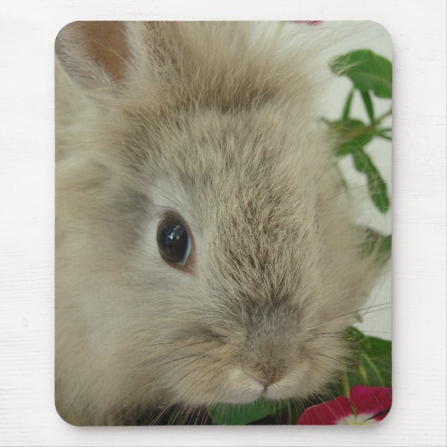 Tapis De Souris Bunny Lionhead (Devant)