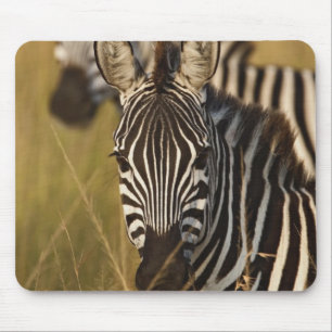 Tapis De Souris Burchell's Zebra dans la haute herbe d'été, Masai