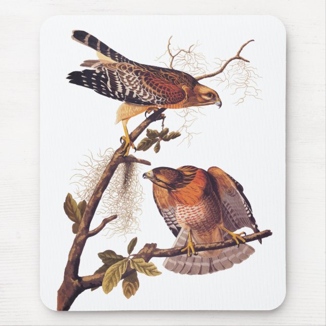 Tapis De Souris Buse à épaulettes roux Audubon Oiseau de proie (Devant)