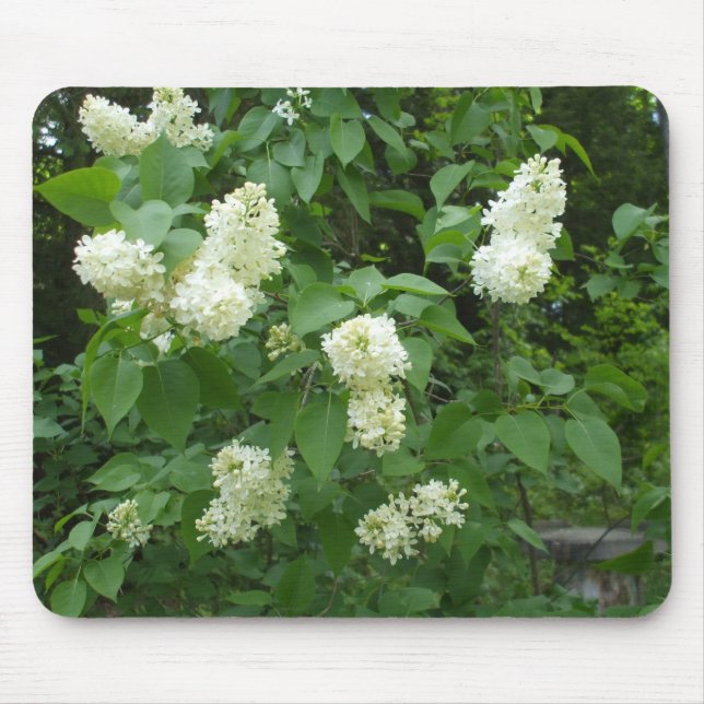 Tapis De Souris Bush lilas blanc (Devant)
