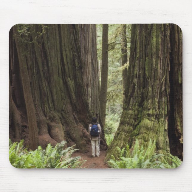 Tapis De Souris CA, Jedediah Smith Redwoods State Park, (Devant)