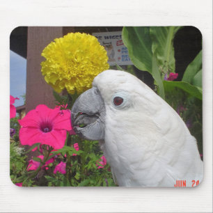 Tapis De Souris Cacatoès Mousepad de parapluie