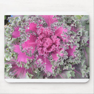 Tapis De Souris Cactus