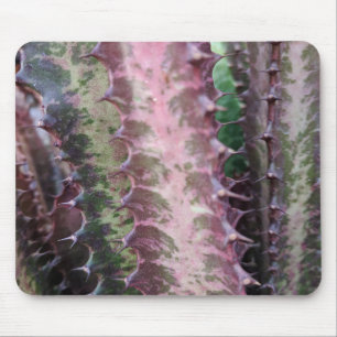 Tapis De Souris Cactus