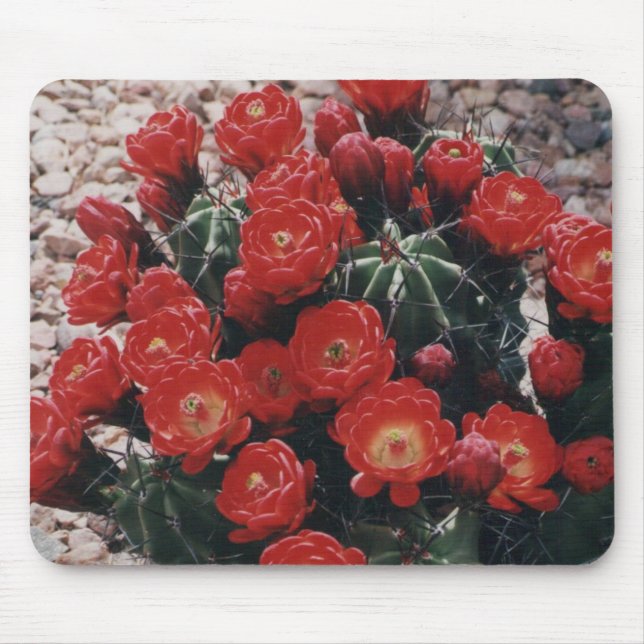 Tapis De Souris cactus de tasse de claret (Devant)